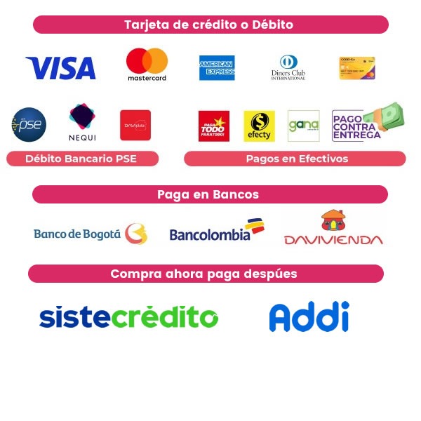 metodos de pago web