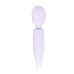 Hitachi doble camtoyz